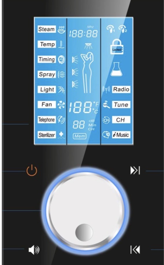Steam Room Controls