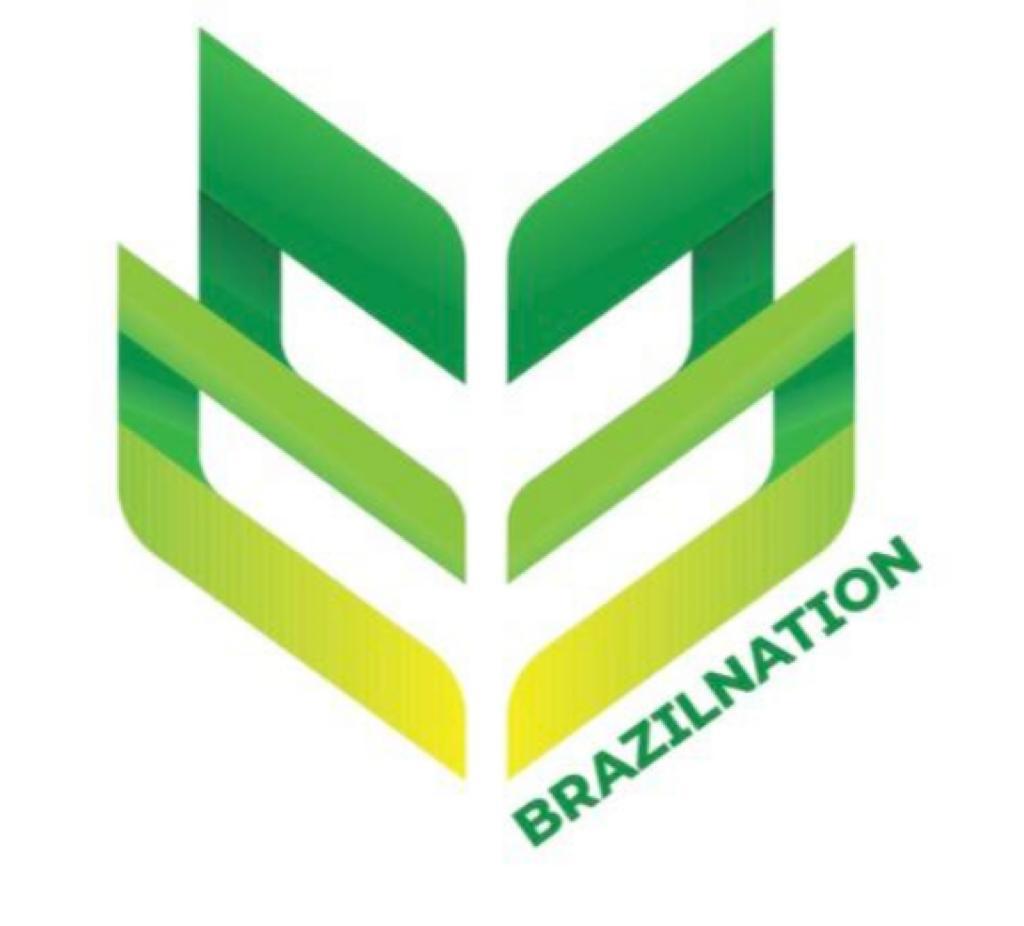 BrazilNation Logomark