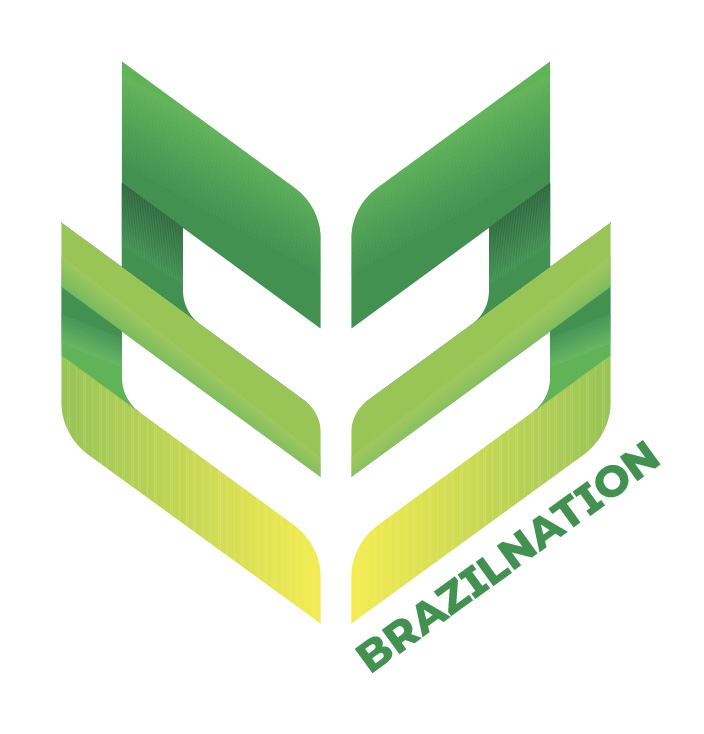 BrazilNation RUN5K Logo