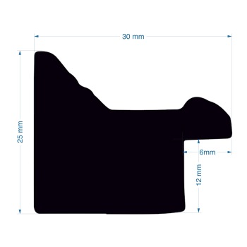 profile