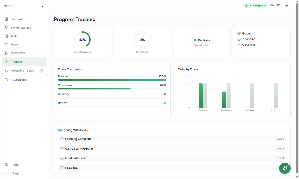 Organised fundraising progress tracking dashboard