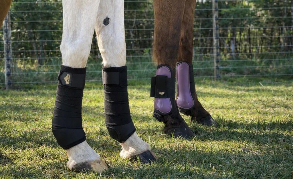 Horse Boots & Wraps
