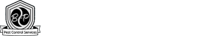 B&P Pest Control