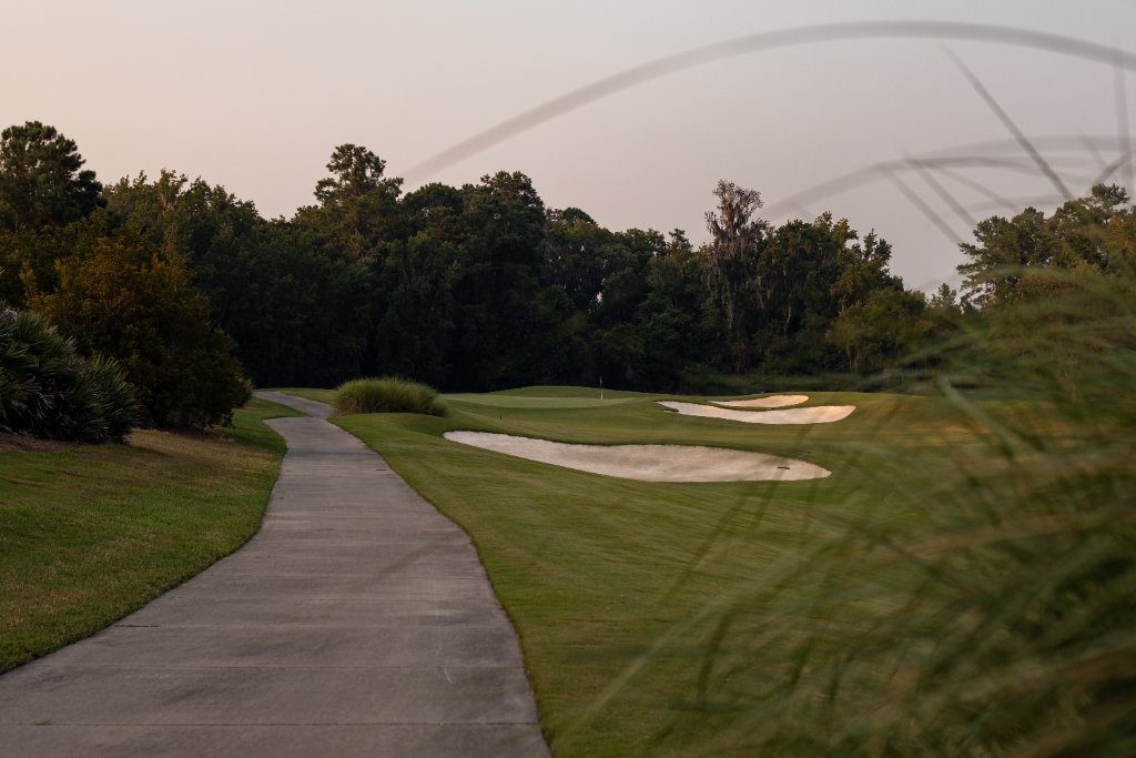 Cart path winding past a green with bunkers framed through tall grass at dusk