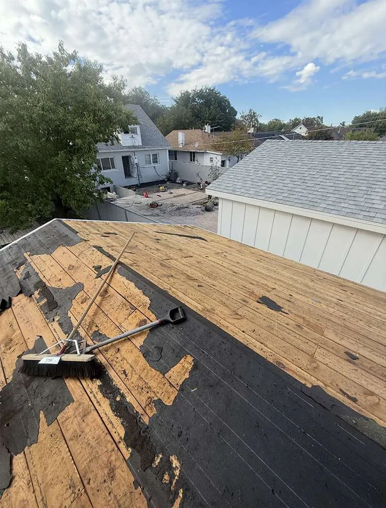 Storm damage project 7