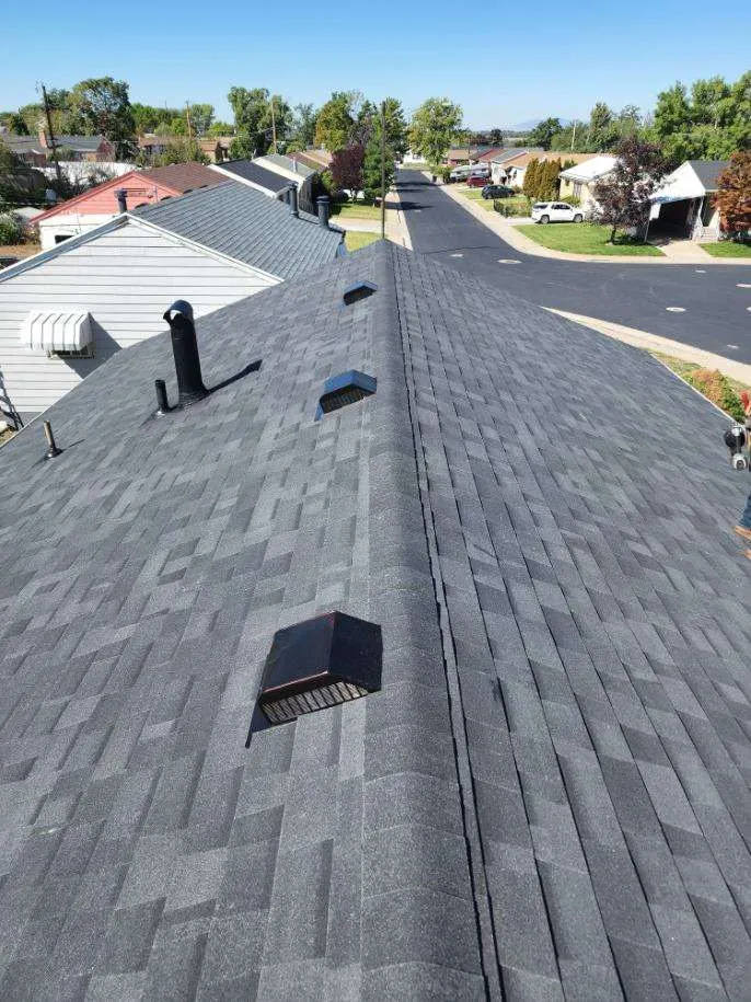 Roof repair project 5