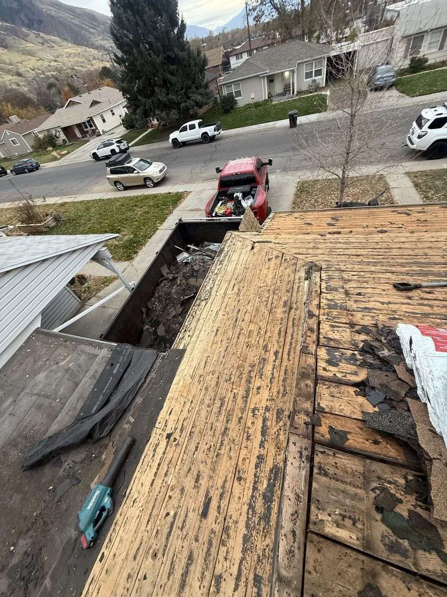 Storm damage project 8