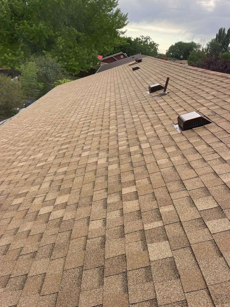 Roof repair project 7