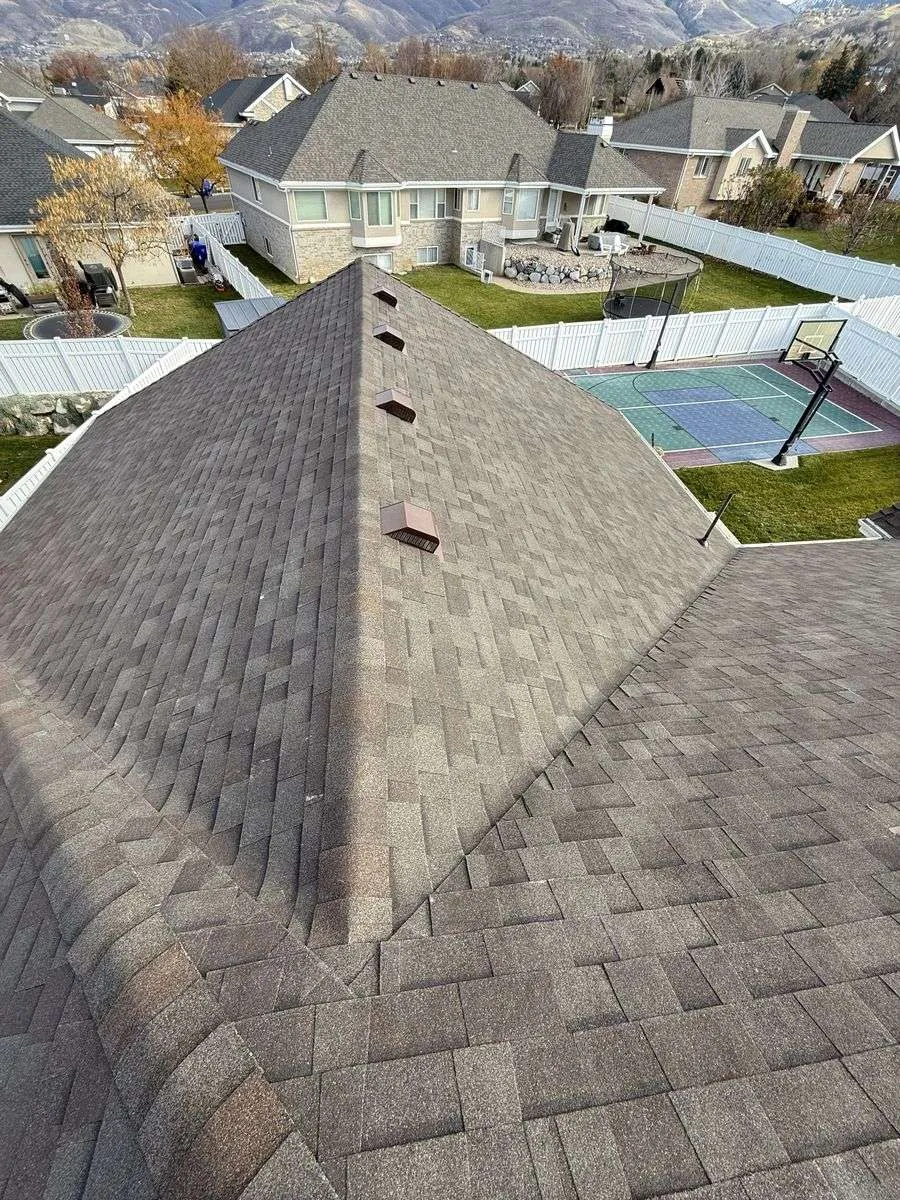 Storm damage project 2