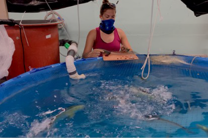 Greenfins research team