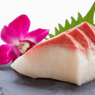 Atlantic yellowtail