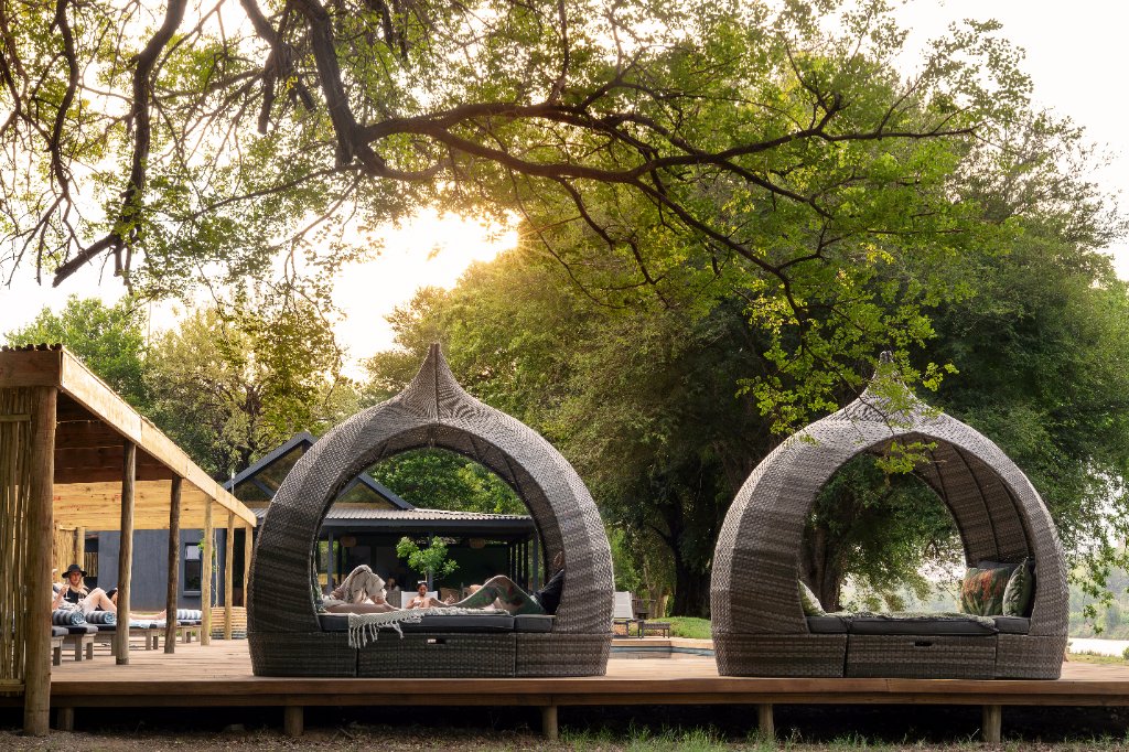 Unplug In The Wild