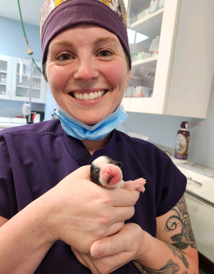Dr. Holly Lamb Bethea, DVM with a patient
