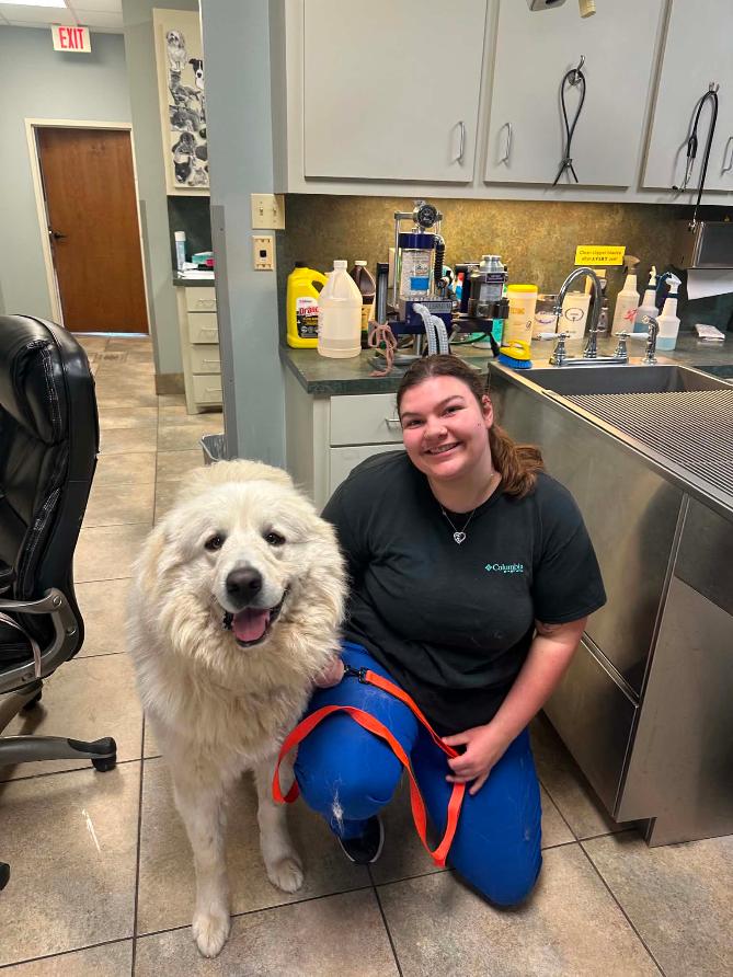Madelyn — Veterinary Assistant
