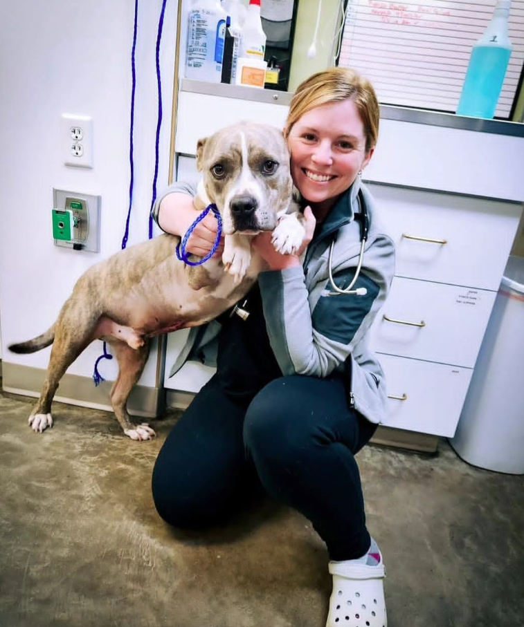 Dr. Holly Lamb Bethea, DVM with a patient