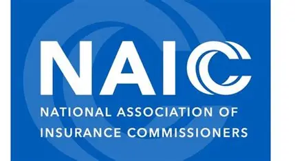 National Association of Insurance Commissioners (NAIC)