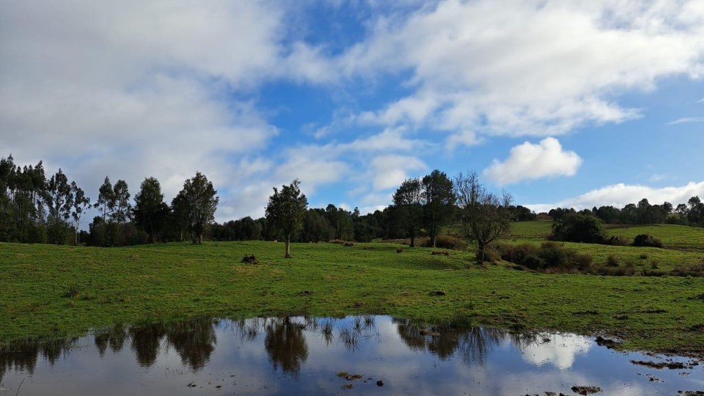 Hacienda Patagonia — 3