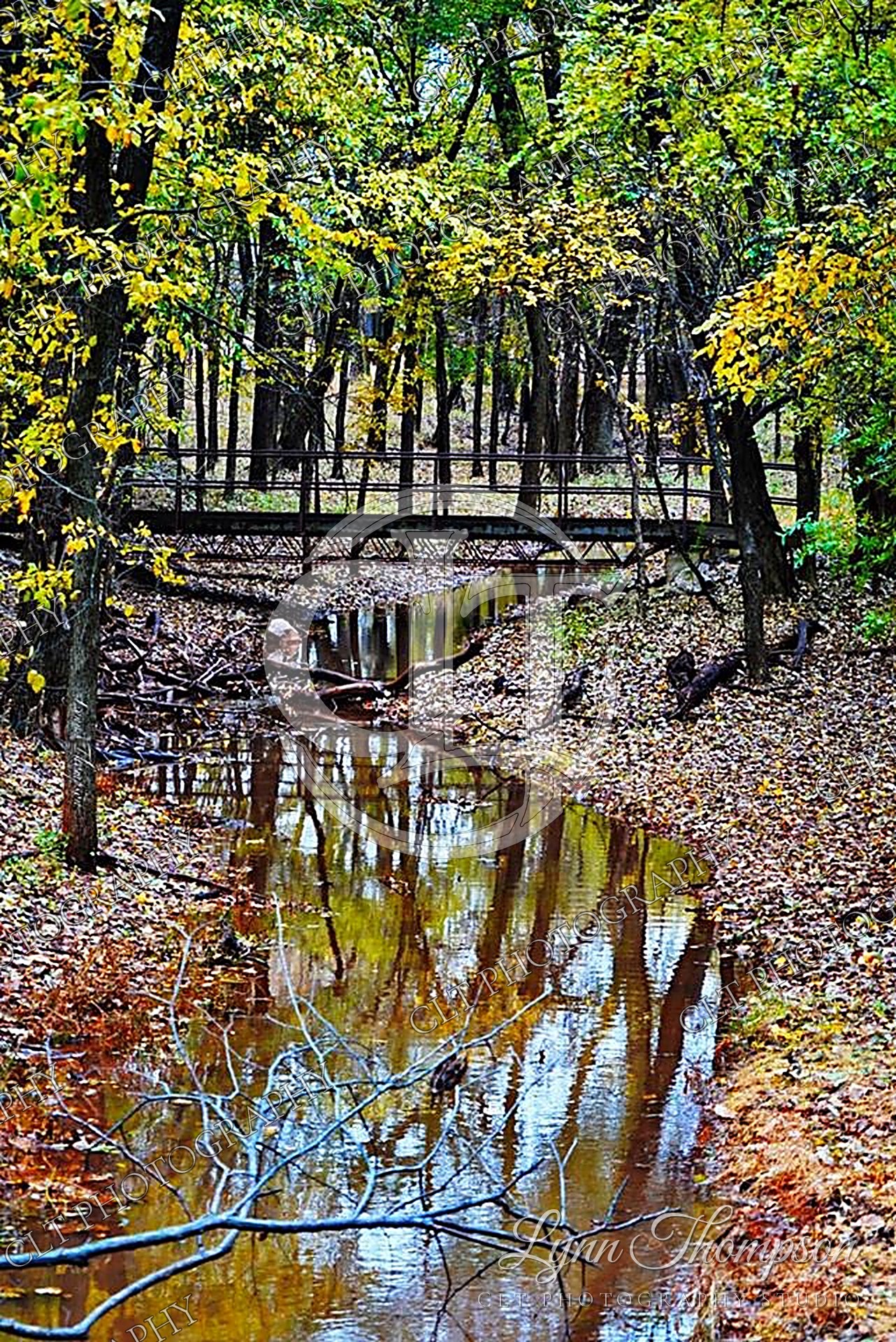 Woodlands & Trails