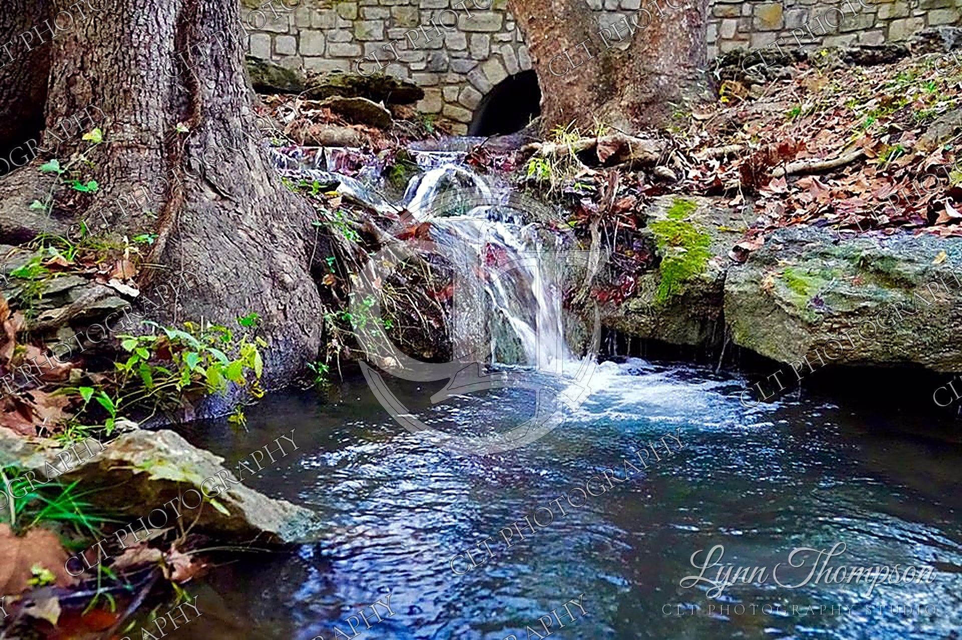 Water & Waterfalls