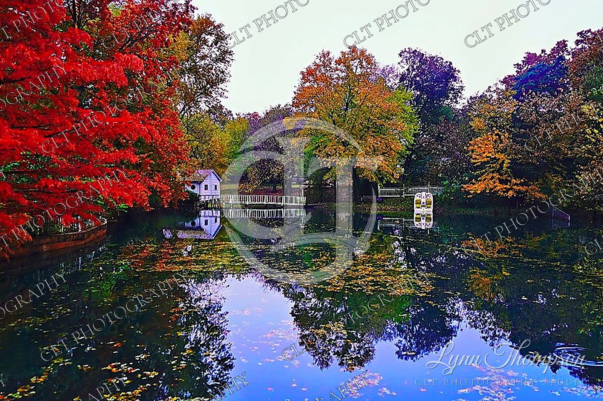 Autumn Color