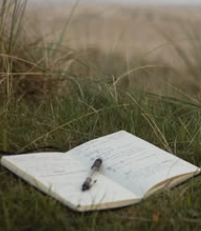 Practical Guides