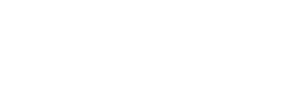 Journalistic Learning Initiative