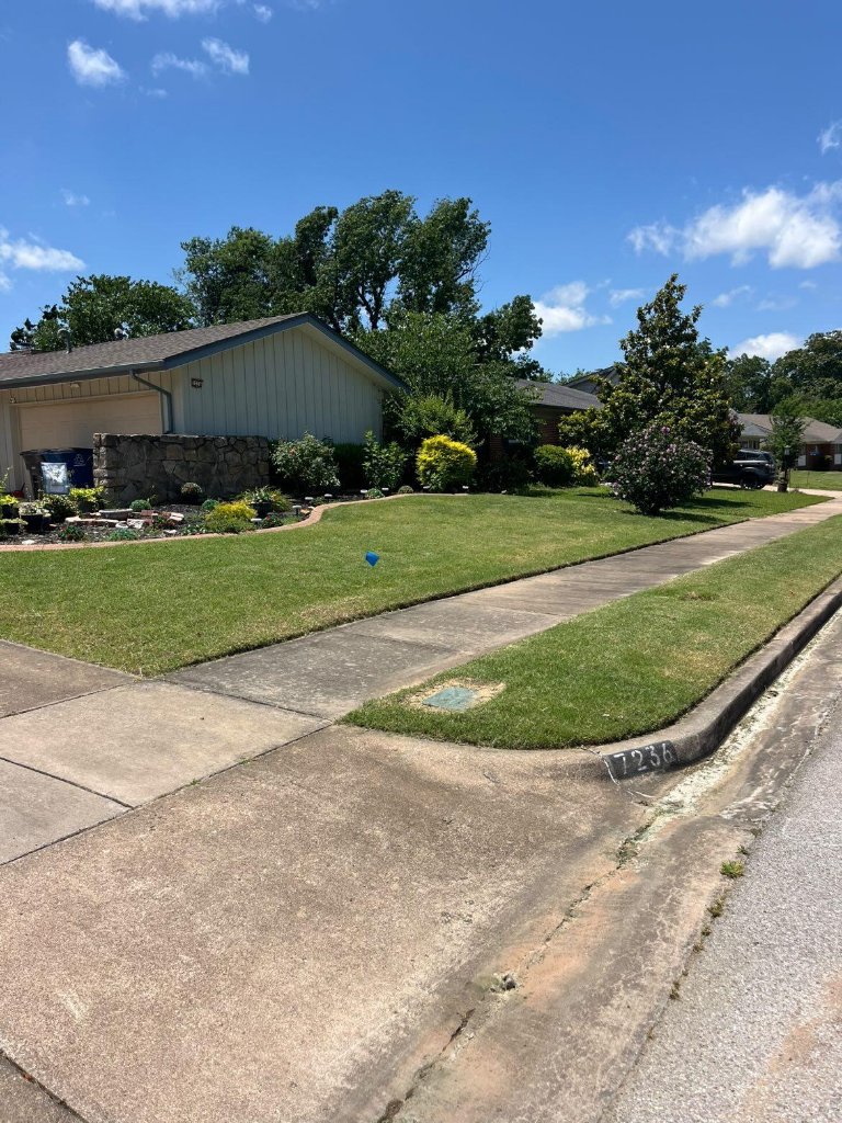 Freshly trimmed hedges and manicured lawn by Trims Landscaping