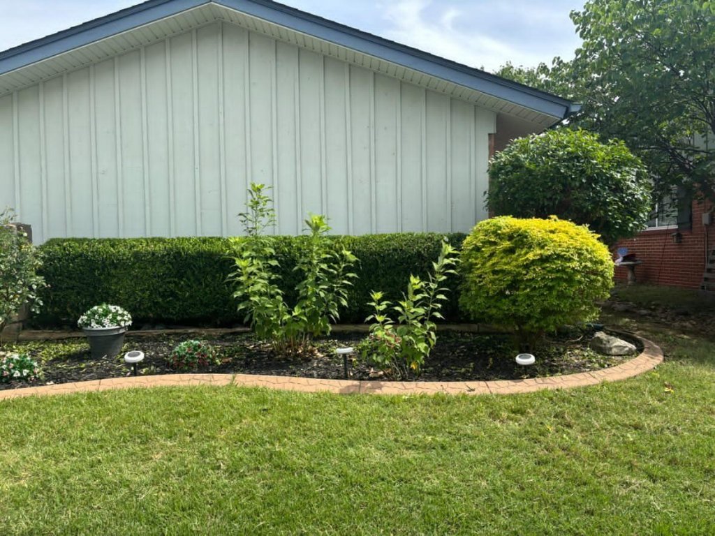 Freshly trimmed hedges and manicured lawn by Trims Landscaping