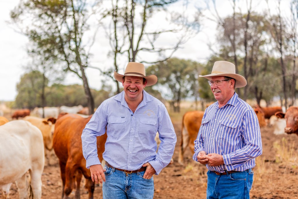 Producers in a cattle paddock