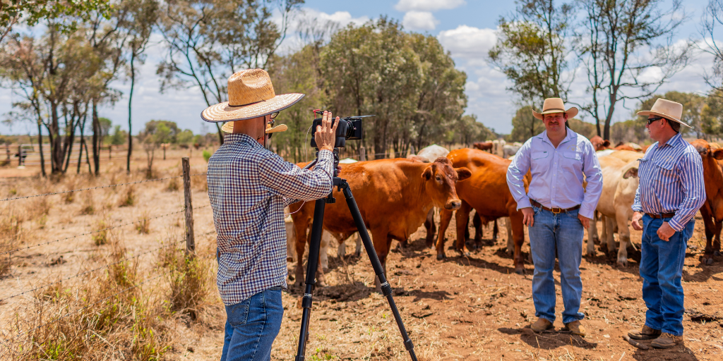 Station crew filming producers in a cattle paddock