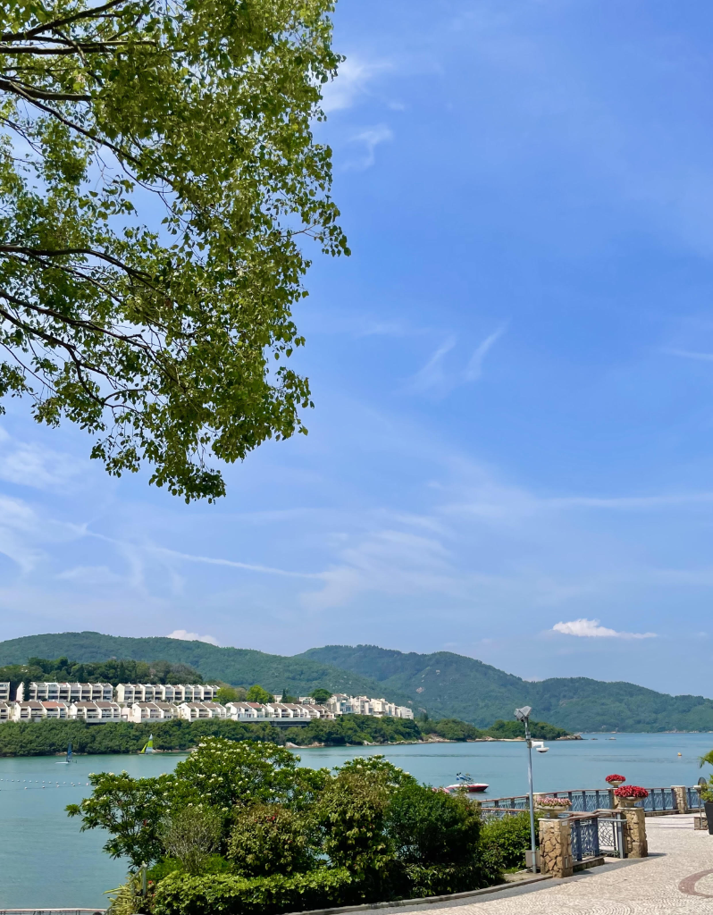 Panoramic view of Discovery Bay