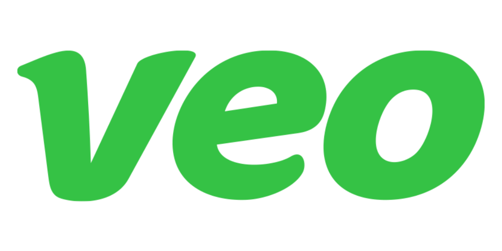 Veo logo