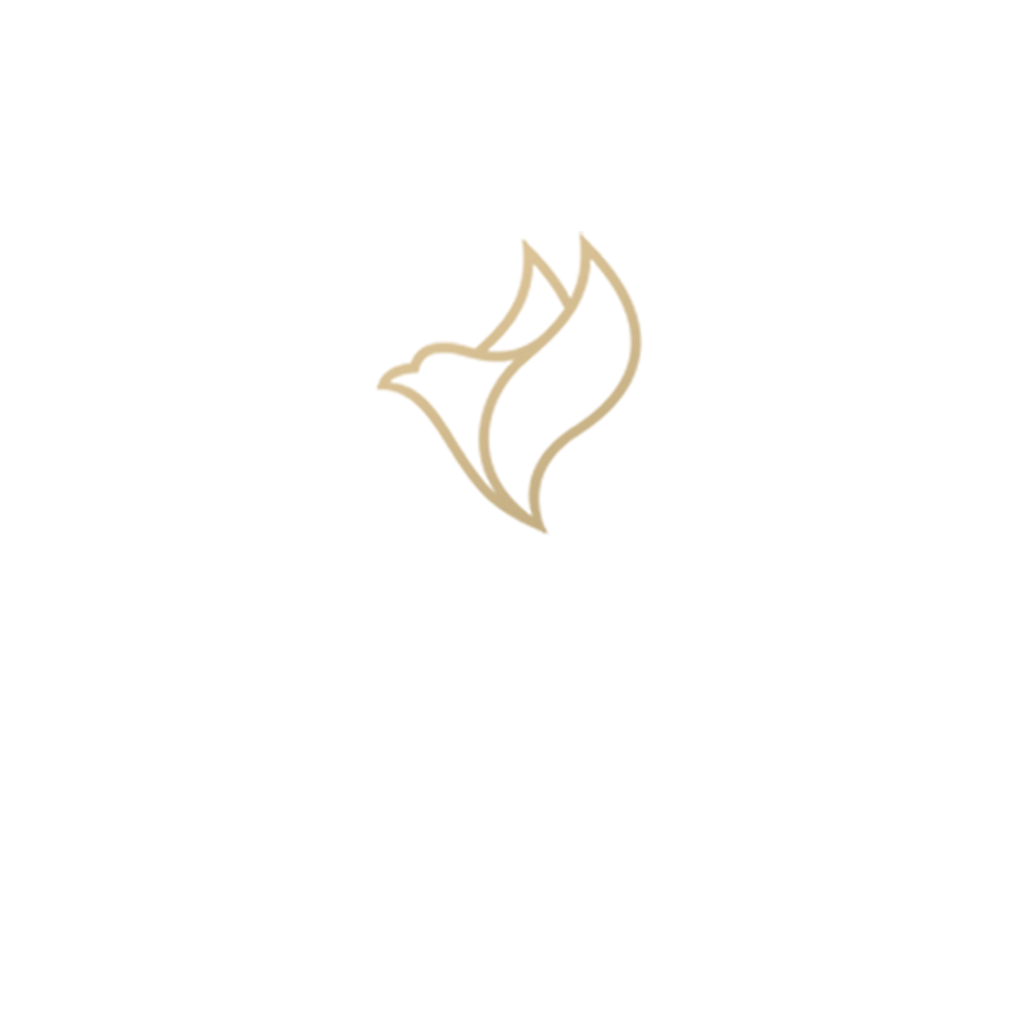 Dreamtour
