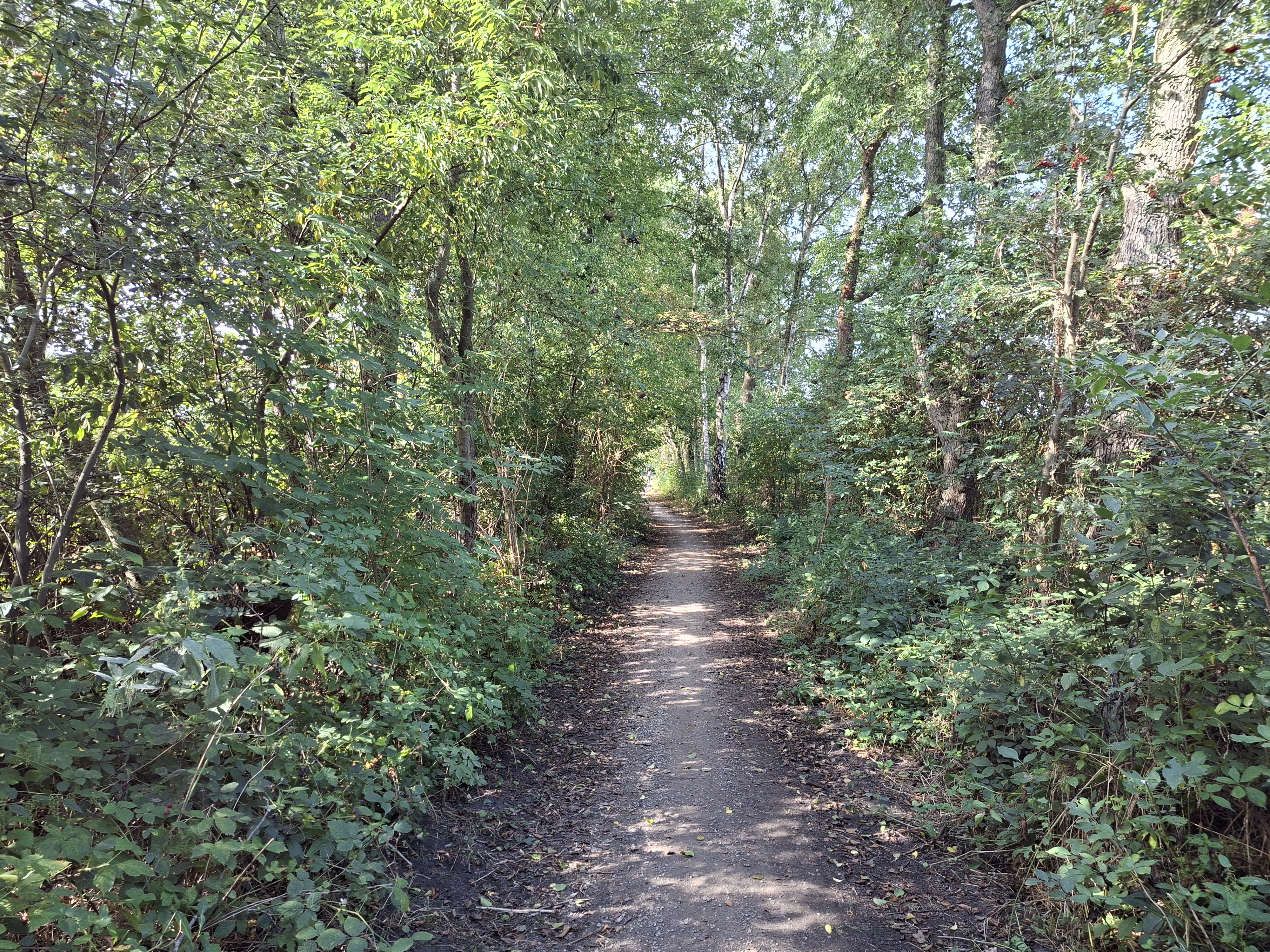 Springendal
