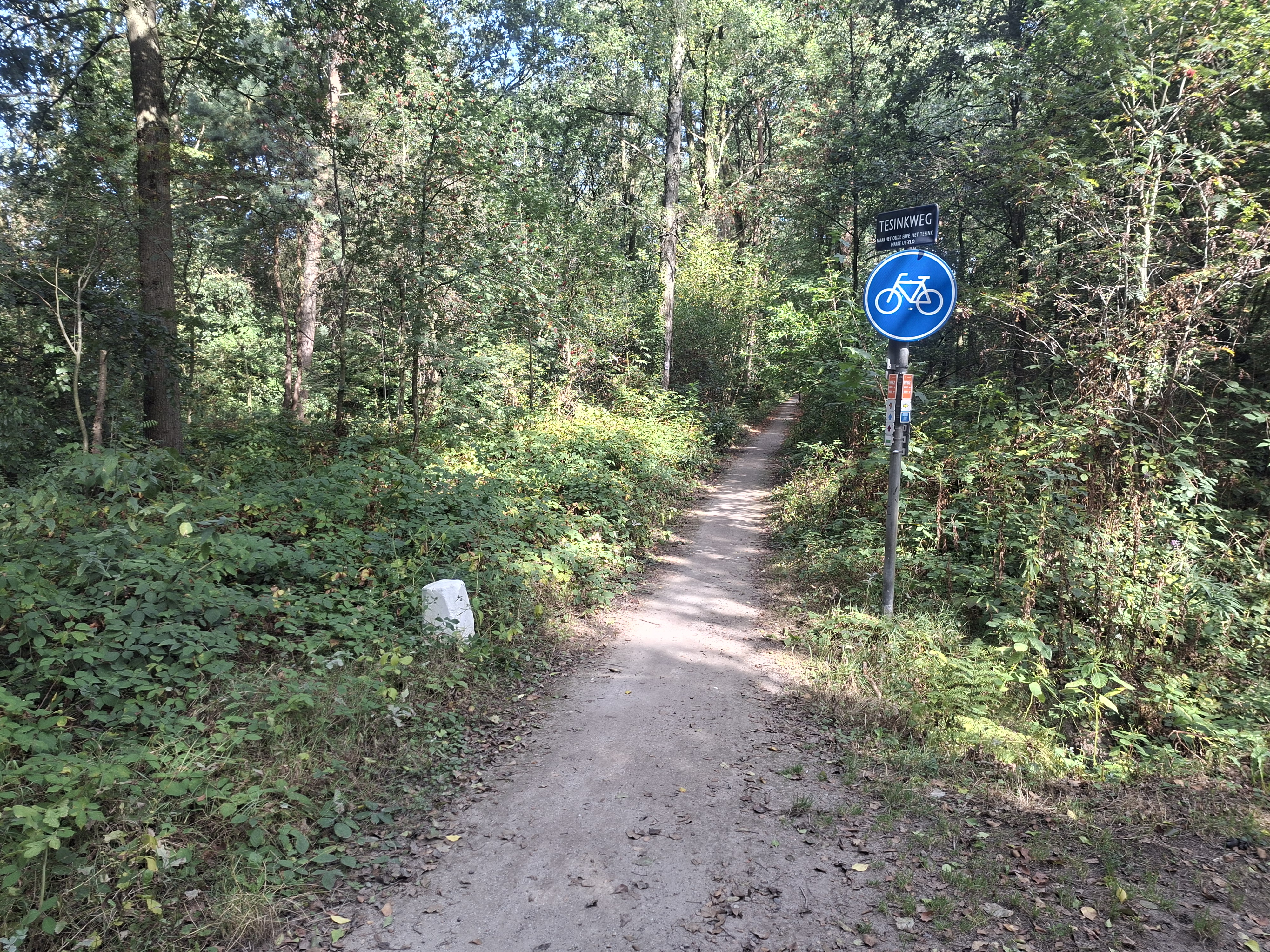 Rondje Hengelo