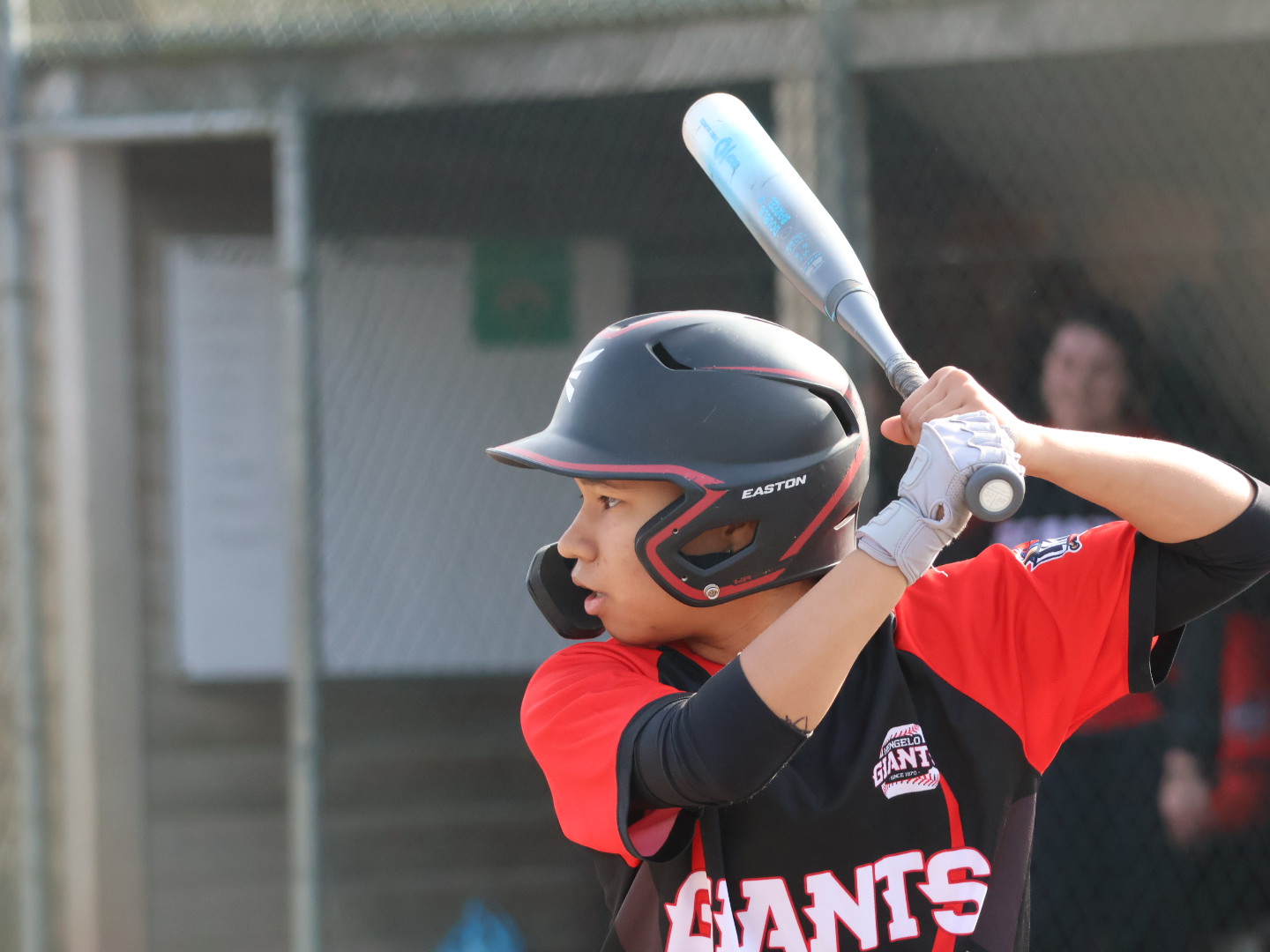 HSV Giants