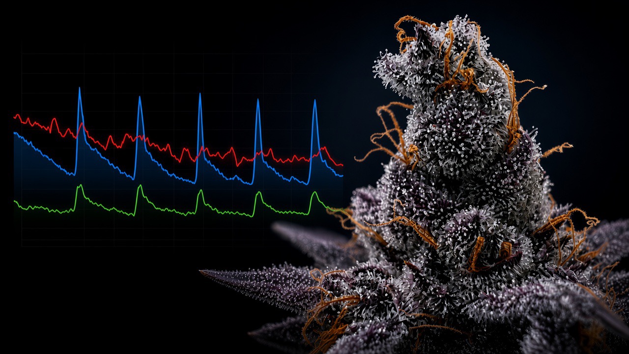 Genetic material under laboratory analysis