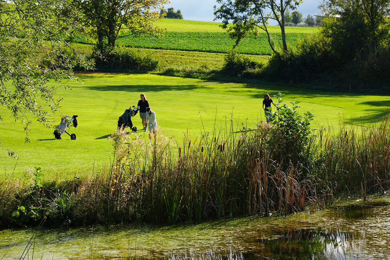 Drei Golferinnen auf dem Fairway des Golfclub Erlen