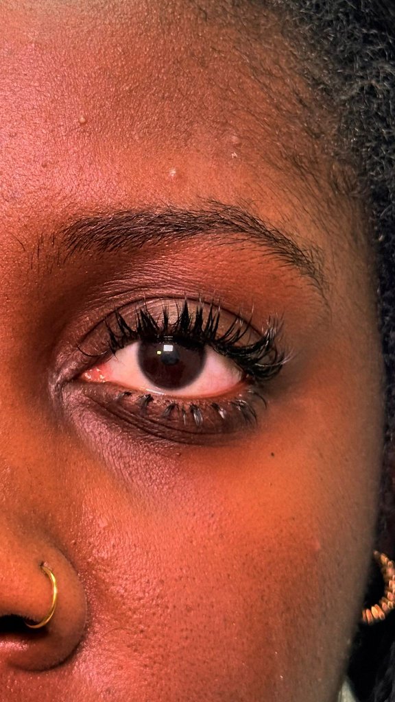 Lash Artistry