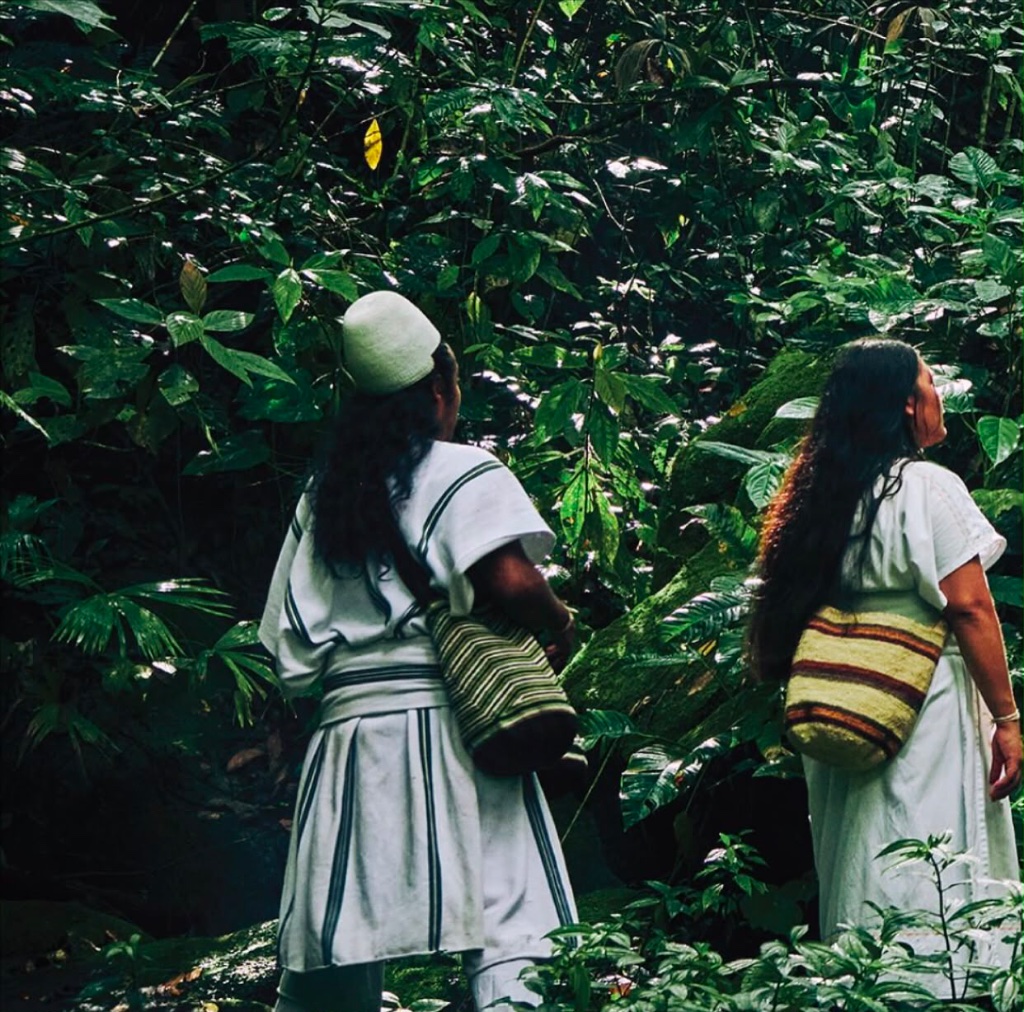 Sacred Forests 1
