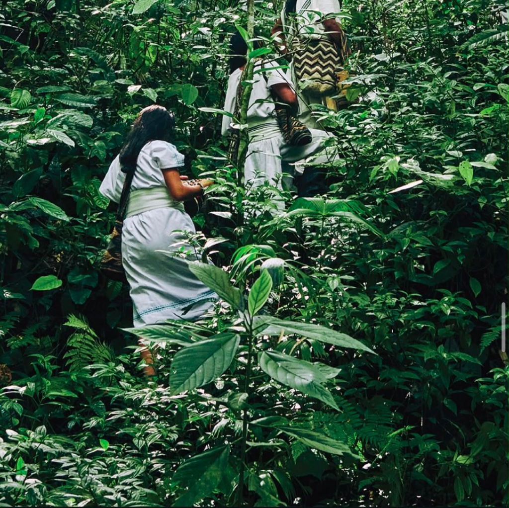 Sacred Forests 2