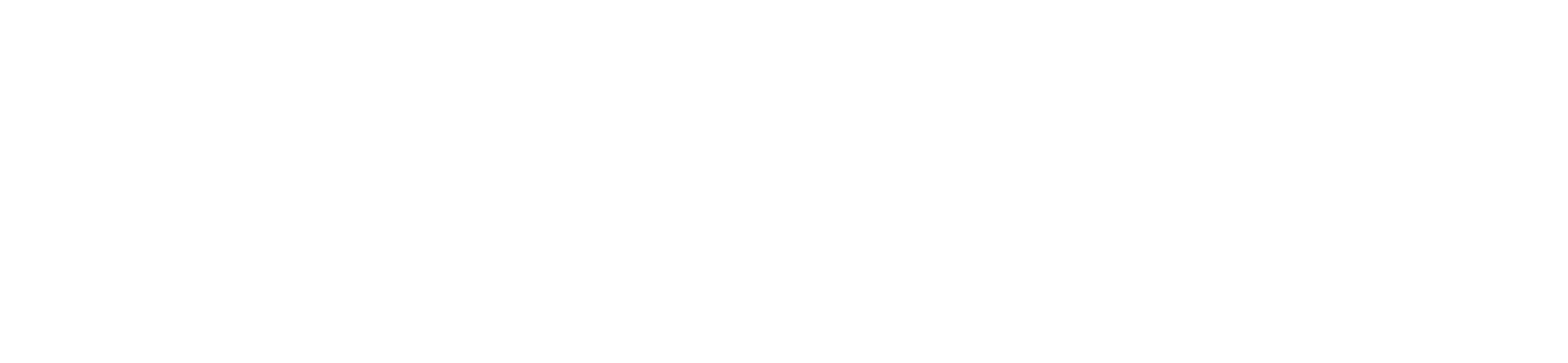 Dr. Renan Araújo
