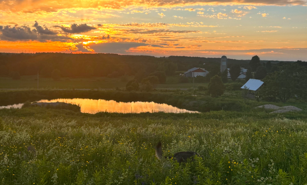 Echo of the Valley Farm