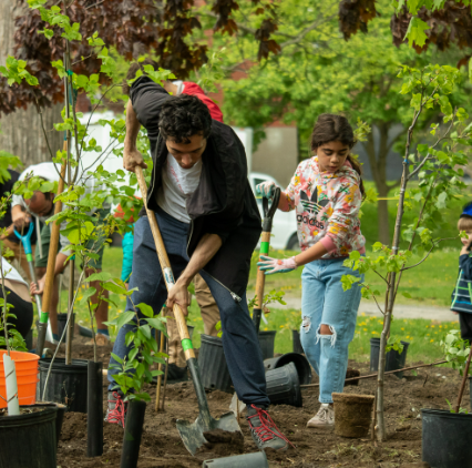 Plantation communautaire 2023