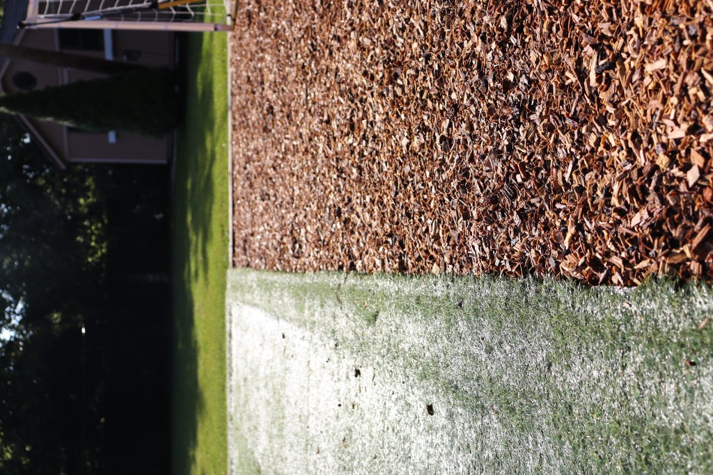 Front and Back Yard Curb Appeal Makeover photo 4