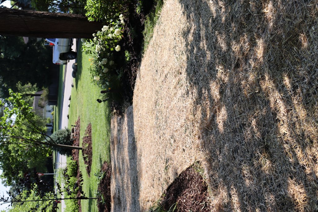 Front and Back Yard Curb Appeal Makeover photo 8
