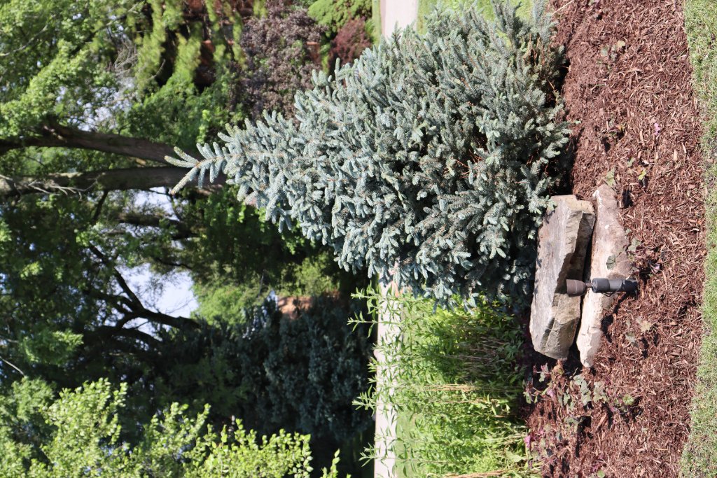 Front and Back Yard Curb Appeal Makeover photo 9