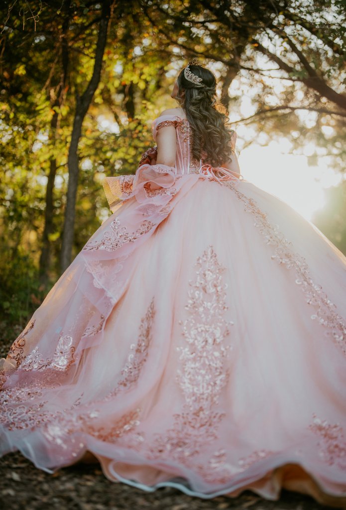 Quinceañera in pale pink gown from behind in sunlit forest