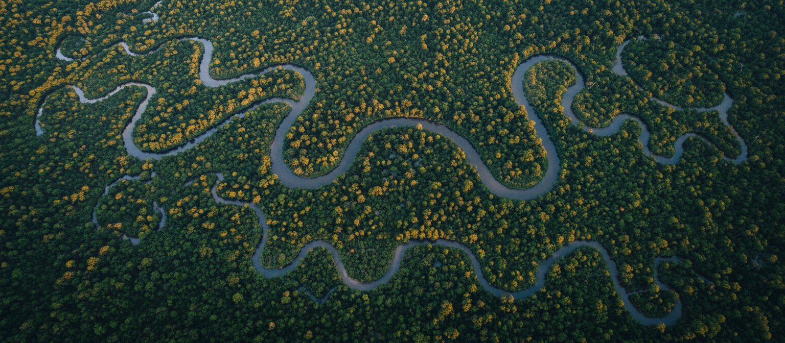 Vista aérea del bosque y sistema fluvial colombiano
