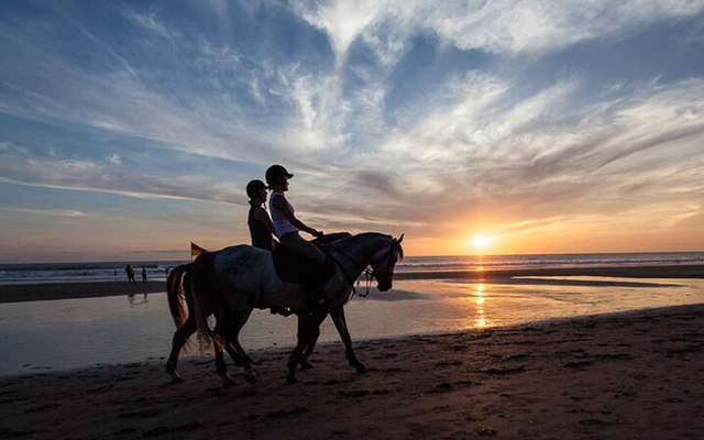 Beach Horse Riding